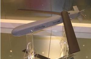 A loitering munition